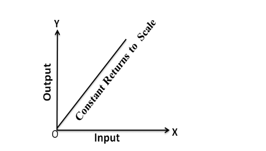 Law of constant returns to scale