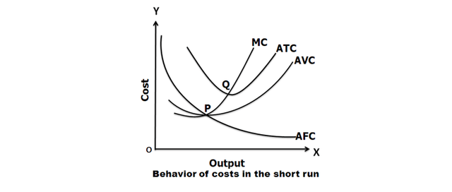 Short-run Cost Function