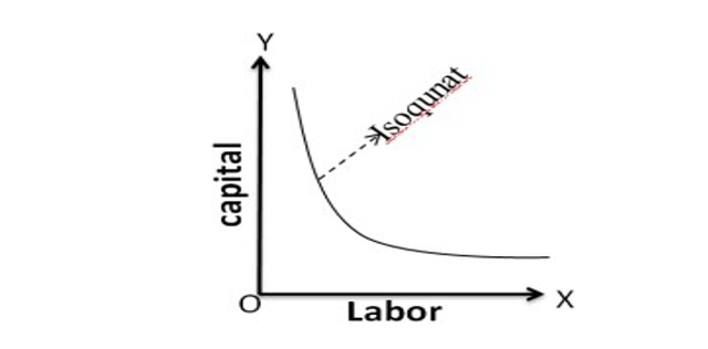 Production Function With Two Variable Inputs