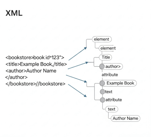 Diagram illustrating how an XML document is parsed into a tree structure by the Document Object Model (DOM)