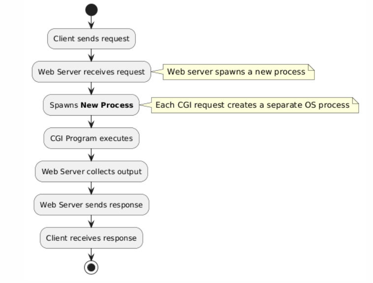 Flowchart illustrating the Common Gateway Interface (CGI) process where a new server process is spawned for each client request