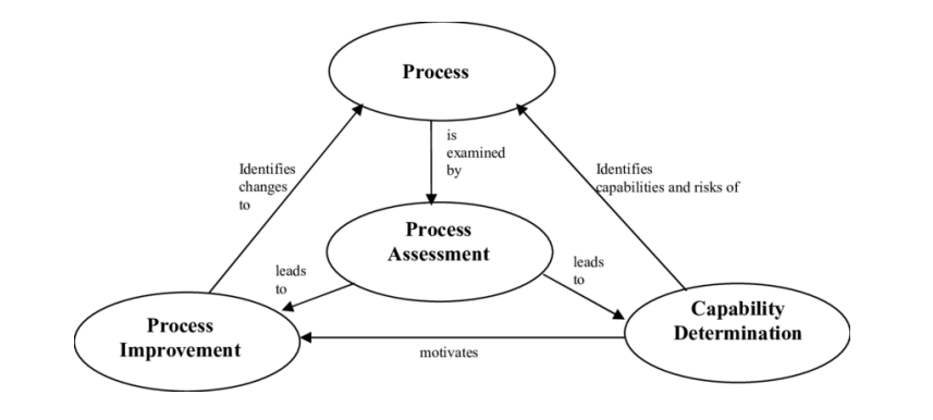 PROCESS ASSESSMENT
