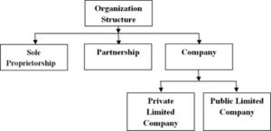 structure of business firm