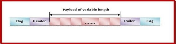 payload-of-variable-length