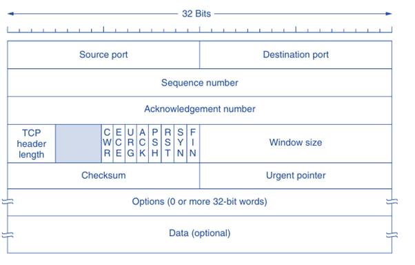 TCP header structure