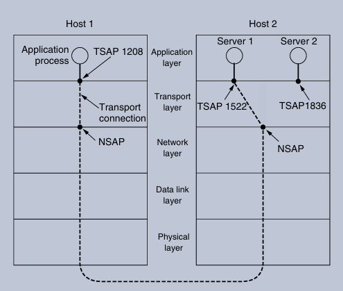 TSAPs, NSAPs, and transport connections.