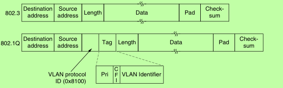 The 802.3 (legacy) and 802.1Q Ethernet frame formats